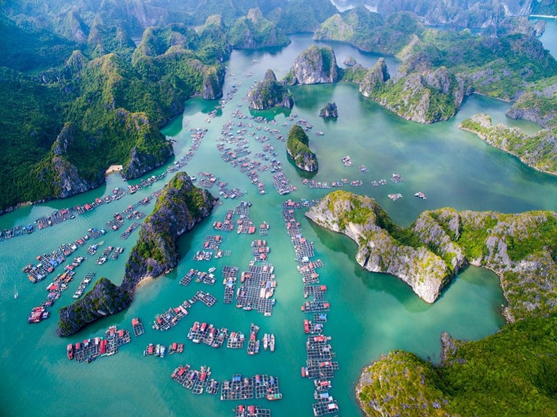 Cát Bà tọa lạc ở đâu? Đảo Cát Bà thuộc tỉnh nào của Việt Nam?