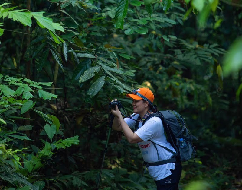 Khám phá khu du lịch sinh thái tại Vườn quốc gia Cúc Phương Ninh Bình