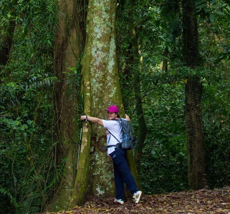 Khám phá khu du lịch sinh thái tại Vườn quốc gia Cúc Phương Ninh Bình