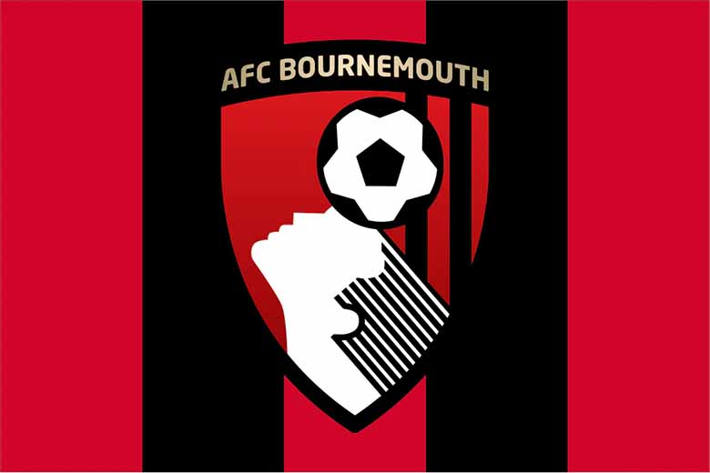 AFC Bournemouth: Hành trình đầy cảm hứng đến Premier League