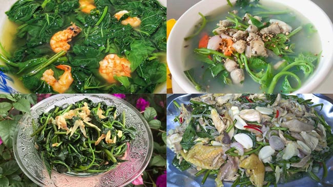 Hơn 99 gợi ý thực đơn cơm phổ biến, đa dạng, dễ chế biến và mang lại lợi nhuận cao.